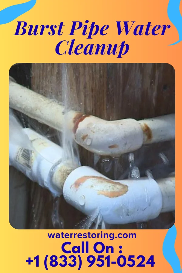 Burst Pipe Water Cleanup in Shorewood, IL