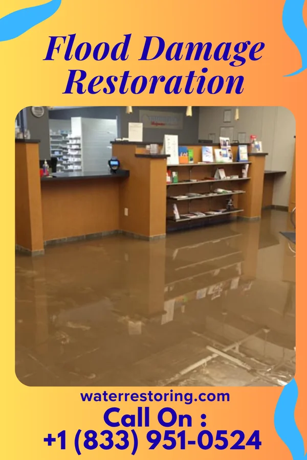 Flood Damage Restoration in Shorewood, IL